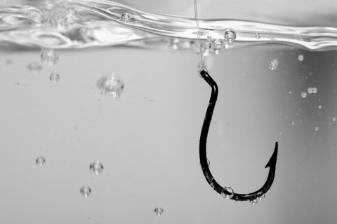 fish hook in water_b&w